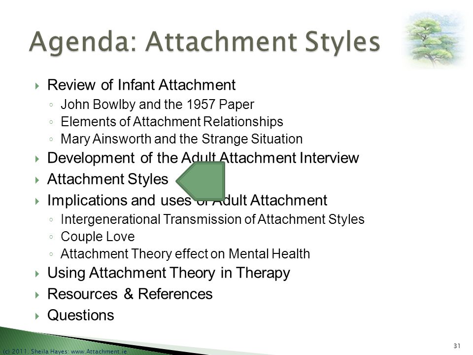 Adult Attachment Interview Protocol